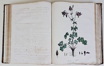 Franz de Paula von Schrank: Flora Monacensis, Bd. I, 1811 - Antiquariat Steutzger/Wasserburg am Inn