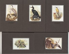 John Gould: Die Vögel Großbritanniens, 5 Bände, komplett (Harenberg / Die bibliophilen Taschenbücher - Antiquariat Steutzger