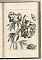 Blumen und Insecten-Buch, Nürnberg, bey Christian Sigmund Froberg - Antiquariat Joseph Steutzger / Buch am Buchrain & Wasserburg am Inn