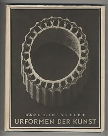 Karl Blossfeldt : Urformen der Kunst, Berlin, Wasmuth, 2. Aufl. (1929) - Joseph Steutzger / Buch am Buchrain & Wasserburg am Inn