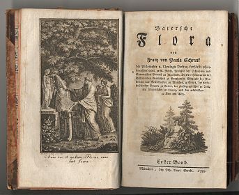 Franz von Paula Schrank : Baierische Flora, Bd. I (von 2), München, Johann Baptist Strobl, 1789 - Anqiquariat Joseph Steutzger / Buch am Buchrain & Wasserburg am Inn